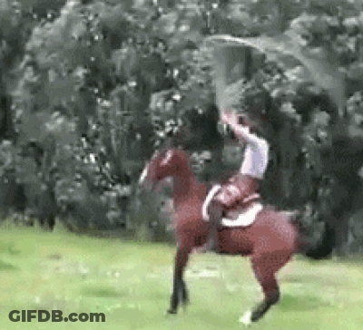 A Person Is Riding A Horse In A Field GIF