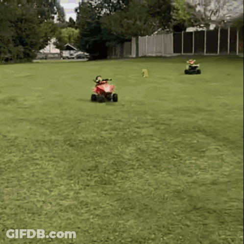 A Person Is Riding A Red Honda Atv In The Grass GIF