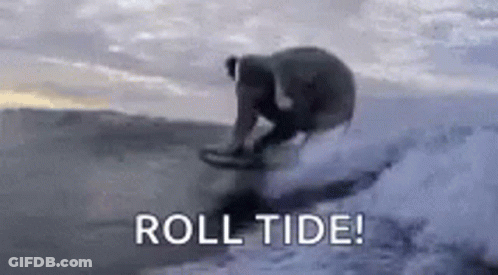 A Person Is Riding A Wave On A Surfboard In The Ocean With The Words `` Roll Tide '' . GIF