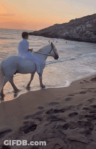 A Person Is Riding A White Horse On A Beach GIF