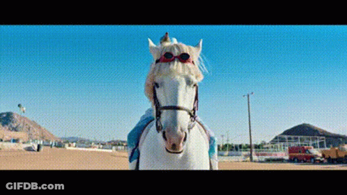A Person Is Riding A White Horse With Sunglasses On Its Head GIF