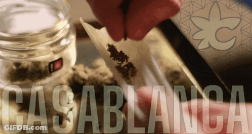 A Person Is Rolling A Cigarette With The Word Casablanca In The Corner GIF