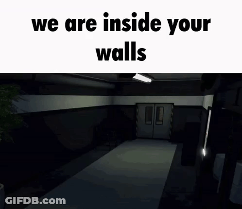 A Person Is Standing In A Dark Hallway In A Video Game And They Are Inside Your Walls . GIF