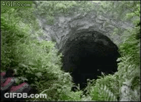 A Person Is Standing In A Hole In The Woods . GIF