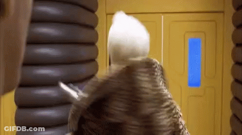 A Person Is Standing In A Room With A Yellow Door And A Blue Window . GIF