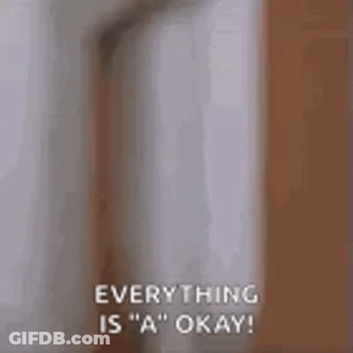 A Person Is Standing In Front Of A Door And Saying `` Everything Is A Okay '' . GIF