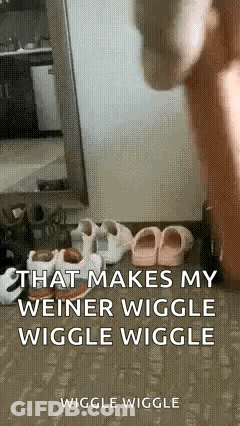 A Person Is Standing In Front Of A Mirror With A Bunch Of Shoes On The Ground . GIF