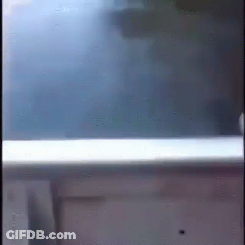 A Person Is Standing In Front Of A Window And Looking Out . GIF