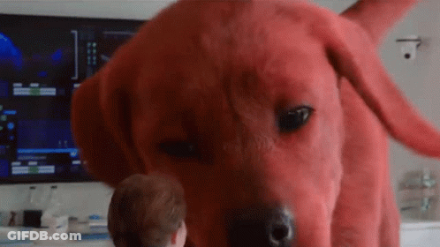 A Person Is Standing Next To A Giant Red Dog . GIF
