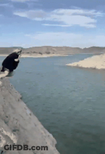 A Person Is Standing On A Ledge Overlooking A Body Of Water . GIF