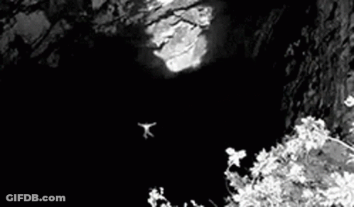 A Person Is Standing On A Tree Branch In The Dark . GIF