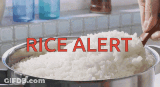 A Person Is Stirring Rice In A Pot With The Words Rice Alert Written Above It GIF