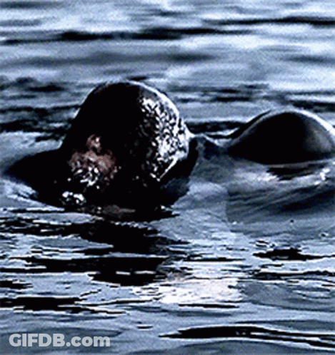 A Person Is Swimming In A Body Of Water With Their Head Above The Water GIF