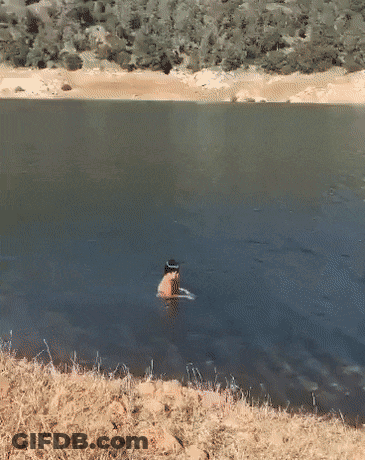 A Person Is Swimming In A Lake With A Hat On Their Head GIF