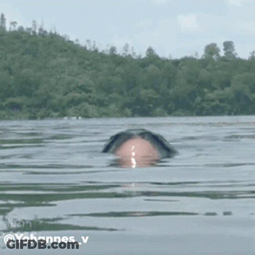 A Person Is Swimming In A Lake With The Name Yohannes_v Written On The Bottom GIF