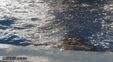 A Person Is Swimming In A Pool With A Blurred Background GIF