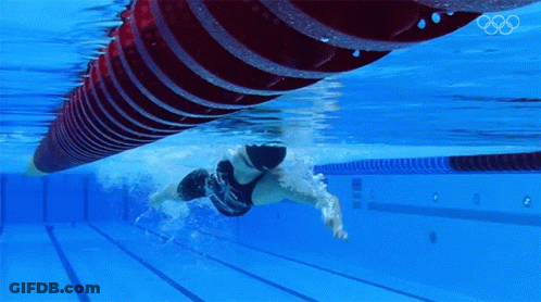 A Person Is Swimming In A Pool With The Olympic Rings Visible GIF