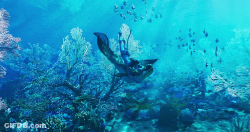 A Person Is Swimming In The Ocean Surrounded By Corals GIF
