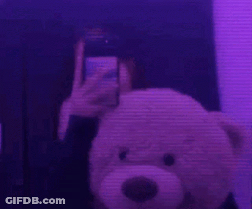 A Person Is Taking A Picture Of Themselves With A Teddy Bear In Front Of A Mirror . GIF