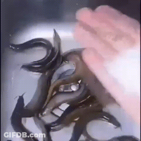 A Person Is Touching A Bunch Of Fish In A Sink With Their Hand . GIF
