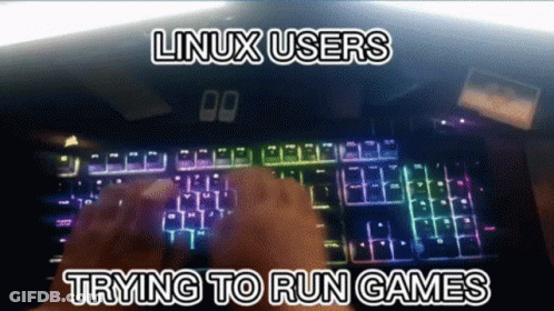 A Person Is Typing On A Keyboard With The Words Linux Users Trying To Run Games Below Them GIF