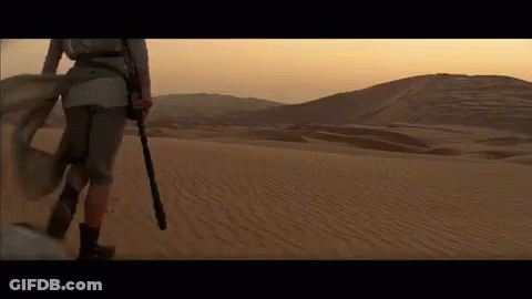 A Person Is Walking Across A Desert Holding A Stick . GIF