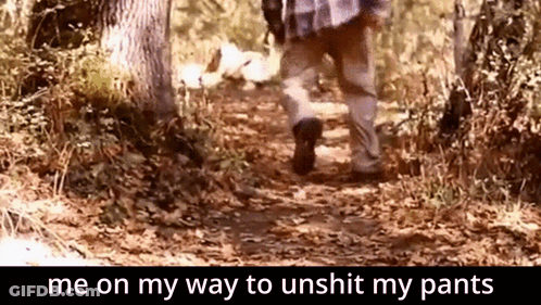 A Person Is Walking Down A Path With The Words Me On My Way To Unshit My Pants Below Them GIF