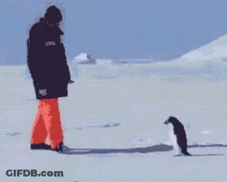 A Person Is Walking In The Snow With A Penguin Behind Them . GIF