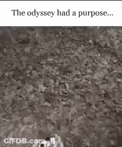 A Person Is Walking On A Dirt Road With A Purpose . GIF