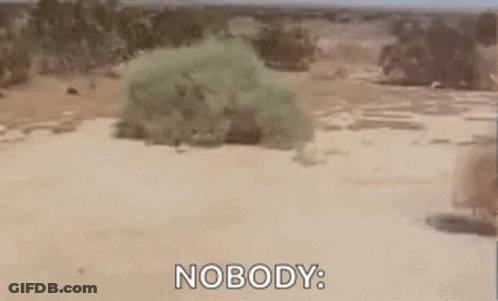A Person Is Walking Through A Desert With The Words Nobody Behind Them GIF