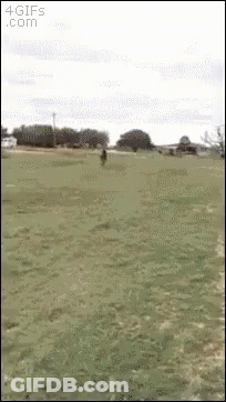 A Person Is Walking Through A Grassy Field With The Website 4Gifs.com Visible In The Corner GIF