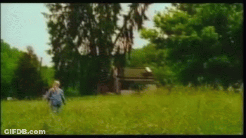 A Person Is Walking Through A Grassy Field With Trees In The Background . GIF