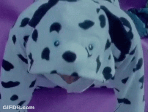 A Person Is Wearing A Dalmatian Costume And Doing Push Ups On A Couch . GIF
