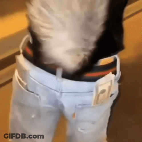 A Person Is Wearing A Pair Of White Jeans With A Black Belt And A Cell Phone In Their Pocket . GIF