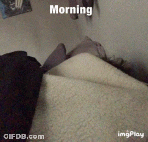 A Person Laying On A Bed With A Blanket And The Words Morning On The Top GIF
