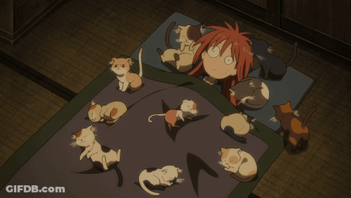 A Person Laying On A Bed With A Bunch Of Cats On It GIF