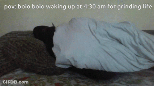 A Person Laying On A Bed With A Caption That Says " Boio Boio Waking Up At 4:30 Am For Grinding Life GIF