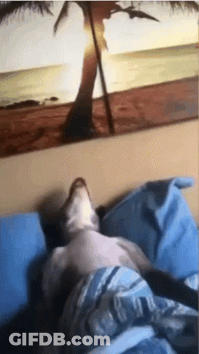 A Person Laying On A Bed With A Painting Of A Beach In The Background GIF