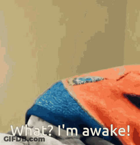 A Person Laying On A Bed With The Words " What ? I 'M Awake " Written Below Them GIF
