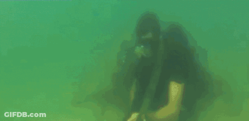 A Person Looking Through Binoculars In The Water GIF