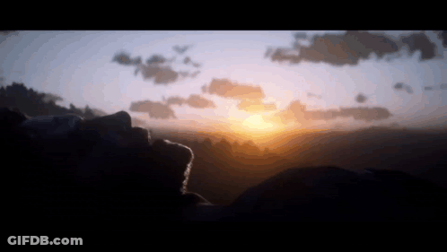 A Person Looking Up At A Sunset With A Silhouette Of Trees In The Background GIF