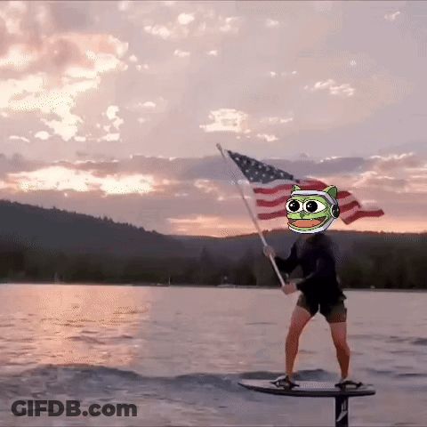 A Person On A Surfboard Holding An American Flag With A Frog On Their Head GIF