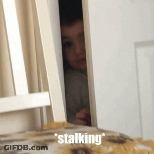 A Person Peeking Out Of A Door With The Word Stalking Written On The Bottom GIF