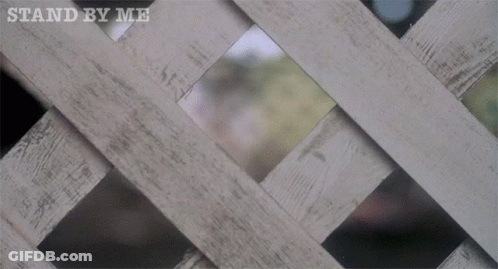 A Person Peeking Through A Wooden Fence With The Words Stand By Me Above GIF