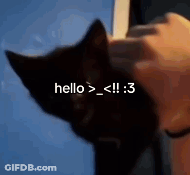 A Person Petting A Black Cat With The Words Hello > < !! : 3 Written Above It GIF