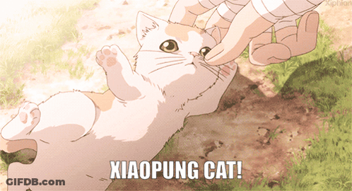 A Person Petting A Cat That Says Xiaopung Cat On It GIF