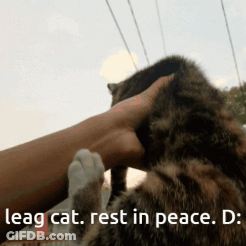 A Person Petting A Cat With The Caption Leag Cat Rest In Peace D GIF