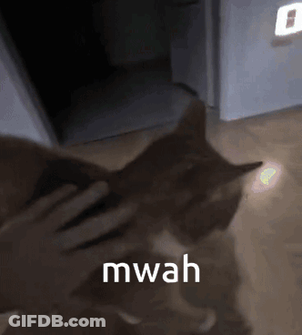 A Person Petting A Cat With The Word Mwah Written On The Bottom GIF