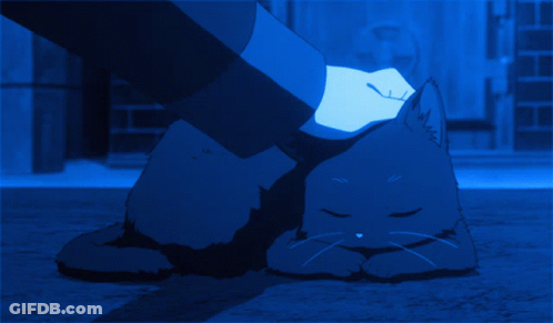 A Person Petting A Cat With Their Foot GIF