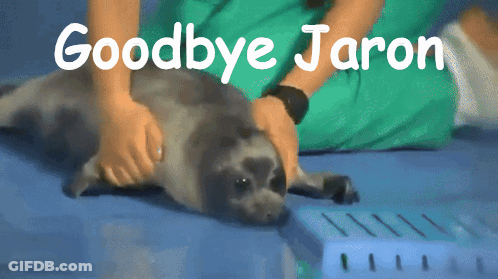 A Person Petting A Seal With The Words Goodbye Jaron Written Above It GIF